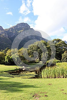 Kirstenbosch National Botanical Garden in Cape Town