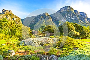 Kirstenbosch National Botanical Garden in Cape Town, South Africa