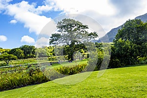 Kirstenbosch National Botanical Garden, Cape Town, South Africa