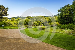 Kirstenbosch National Botanical Garden, Cape Town, South Africa