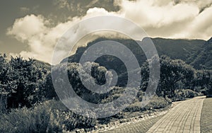 Kirstenbosch National Botanical Garden, Cape Town, South Africa