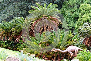 Kirstenbosch National Botanical Garden photo