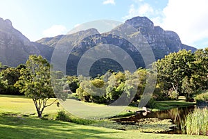 Kirstenbosch National Botanical Garden in Cape Town photo