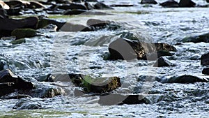 Kishacoquillas Creek cascading to the Juniata river