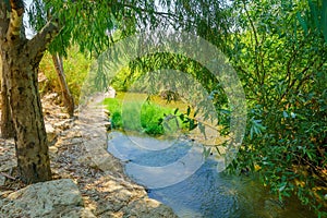 Kishon Park (HaAmakim park)