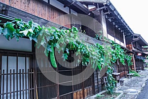 Kiso valley is the old town or Japanese traditional wooden buil