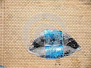 Kiss on a brick wall
