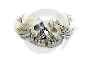 Kiss skeleton model on white background