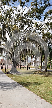 Kissimmee Lakefront Park