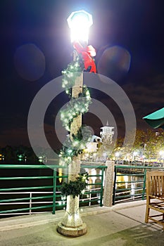 Kissimmee night: christmas decoration