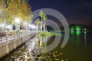 Kissimmee night photo