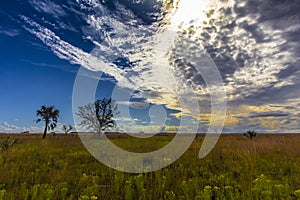 Kissimmee Prairie Preserve State Park, Florida