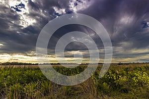 Kissimmee Prairie Preserve State Park, Florida