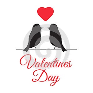 Kissing couple of doves. Kiss pigeon for valentine day or wedding. Valentine day vector illustration