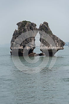 Kissing rock or Chicken rock at Halong bay northeast Vietnam is towering limestone islands topped by rainforests