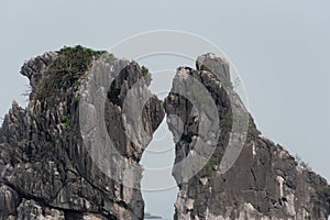 Kissing rock or Chicken rock at Halong bay northeast Vietnam is towering limestone islands topped by rainforests