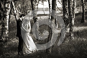 Kissing Wedding Couple