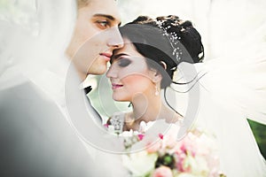 Kissing wedding couple in spring nature close-up portrait