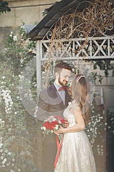 Kissing wedding couple in spring nature close-up portrait