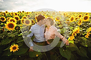 Kissing young couple portrait on sunflowers field. A love story