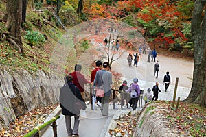 Kitano Tenmangu gardens