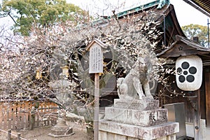 Kitano Tenmangu Shrine in Kyoto, Japan. The shrine was built during 947AD by the emperor of the time