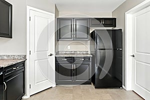 Kitchen with a black refrigerator and cabinets