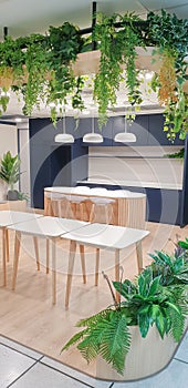 kitchen, blue and grey cabinets, orange pendant lights, polished concrete floors, hanging plant baskets, tables and chairs
