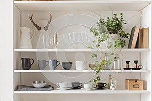 Kitchen cabinet or cupboard for dishes