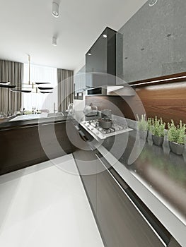 Kitchen contemporary style