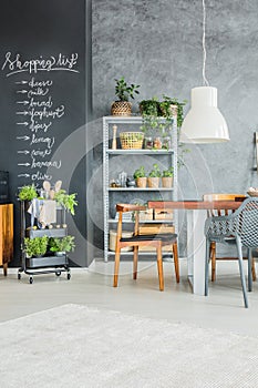 Kitchen corner with fresh herbs