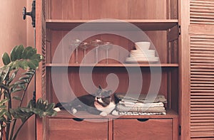 Kitchen cupboard with disheslike plates, tableclothes and glasses