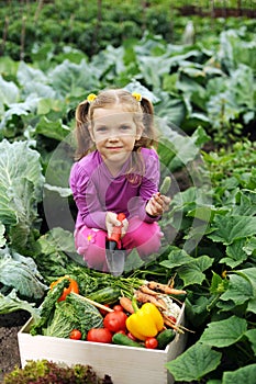 In the kitchen-garden