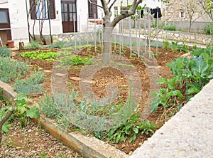 A kitchen garden on the Croatian island Olib