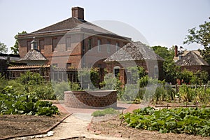 Kitchen Garden With Herbs