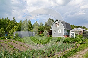 Kitchen garden, lodge and greenhouses on a country section