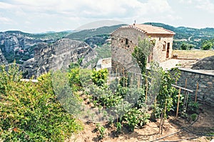 Kitchen-garden on rock in Meteora monastery.