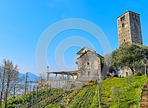 The kitchen garden at San Quirico Church, Locarno, Switzerland