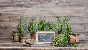 Kitchen herbs with chalkboard. Food ingredients rosemary, thyme