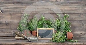 Kitchen herbs chalkboard garden tools Food ingredients