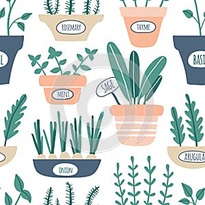 Kitchen herbs seamless pattern. Green growing sage, rosemary, mint, thyme, arugula, onion with labels. Culinary herbs in pots.