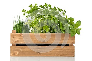 Kitchen herbs in wooden crate