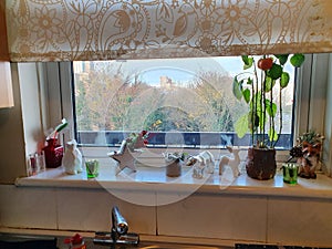 Kitchen iew with decorations and home growing bell pepper, chrismassy feeling