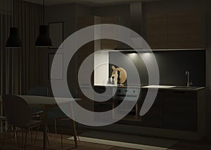 Kitchen interior in a modern style. Night. Evening lighting.