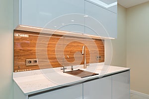 Kitchen interior in new luxury home.