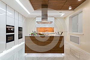 Kitchen interior in new luxury home.