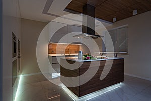 Kitchen interior in new luxury home.