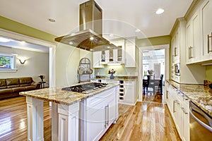 Kitchen island with built-in stove, granite top and hood