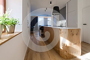 Kitchen with island in modern house