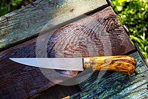 Kitchen knife with a wooden handle. Beautiful handmade kitchen knife